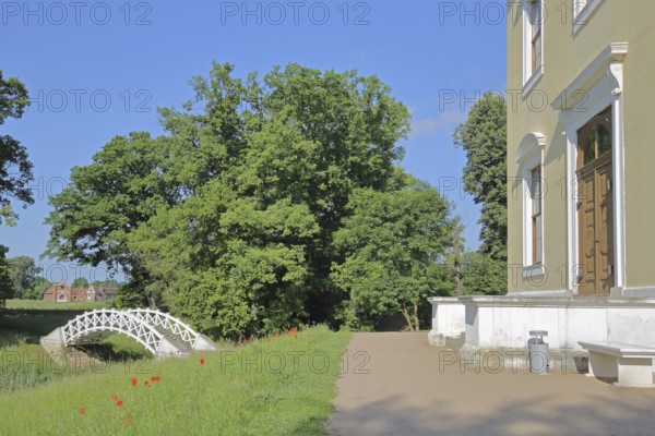 UNESCO Luisium, classicist palace with arched bridge, pond, idyll, Dessau-Wörlitz Garden Kingdom, Dessau, Dessau-Roßlau, Saxony-Anhalt, Germany