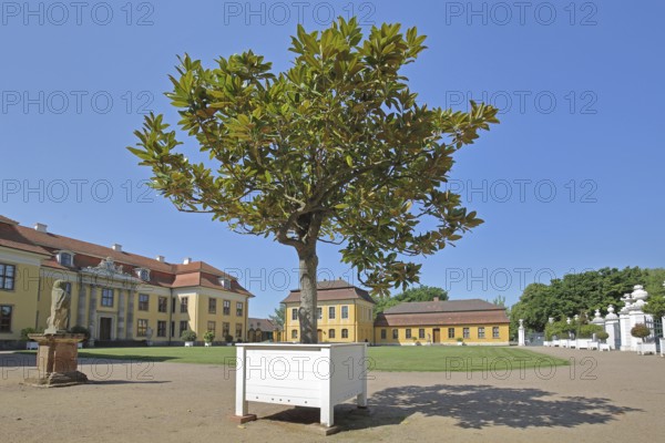 Rococo palace, inner courtyard, Mosigkau, Dessau-Wörlitz Garden Kingdom, Dessau-Roßlau, Saxony-Anhalt, Germany