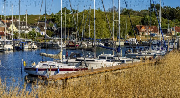 Jetty and landscape at Lake Neuensien in Seedorf, Rügen, Mecklenburg-Western Pomerania, Germany