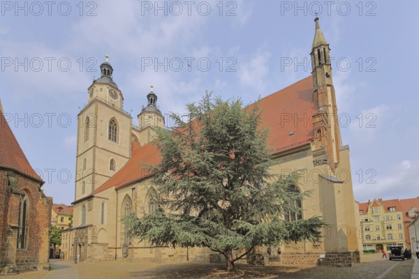 Gothic UNESCO St Mary's Church and Corpus Christi Chapel, town church, Luther city Wittenberg, Fläming, Saxony-Anhalt, Germany
