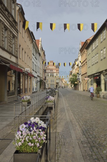 Historic pipe water in the Schlossstraße with flower decoration and houses, sewage, water pipe, water channel, Luther city Wittenberg, Fläming, Saxony-Anhalt, Germany
