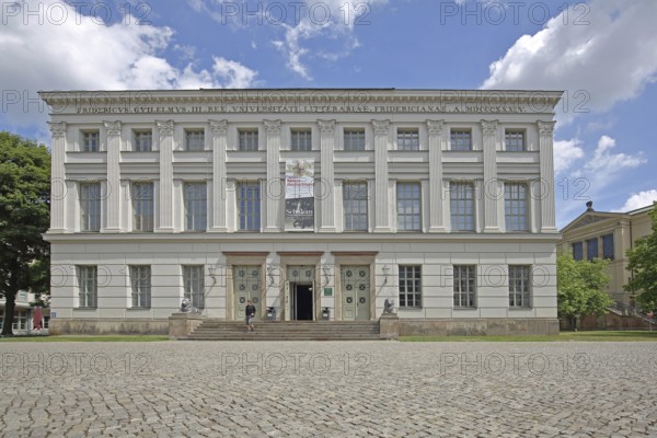 Historic Löwengebäude, Universitätsplatz, University, Halle an der Saale, Saxony-Anhalt, Germany