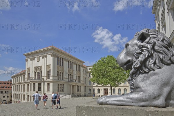 Head of lion figure and historical Melanchtonianum, palace, modern art, sculpture, lion head, lion, oversize, lion building, university square, university, Halle an der Saale, Saxony-Anhalt, Germany