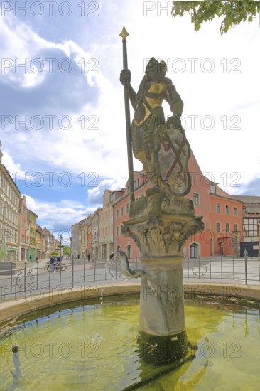 Wenceslas Fountain with sculpture, patron saint, saint with city coat of arms and spear, lance, water basin, market, Saale, Naumburg, Saxony-Anhalt, Germany