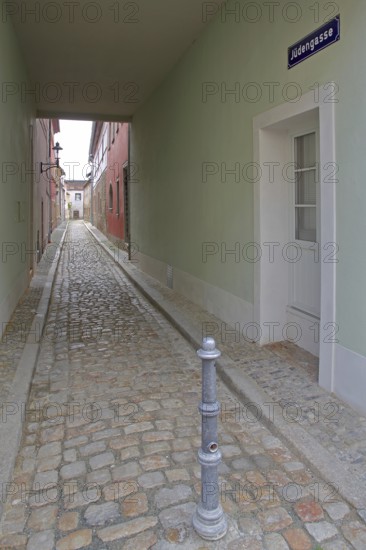 Narrow alley with houses, passage, subway, long narrow, alleyway with cobblestones and vanishing point, alleyway sign, alleyway name with inscription, post, barrier, Judengasse, Jüdengasse, Saale, Naumburg, Saxony-Anhalt, Germany