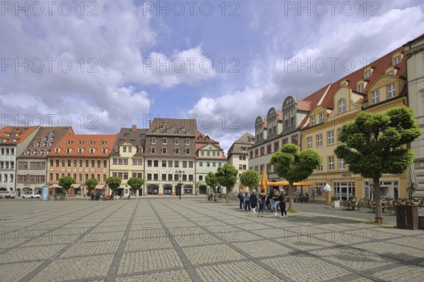 Houses and pedestrians at the market, Saale, Naumburg, Saxony-Anhalt, Germany