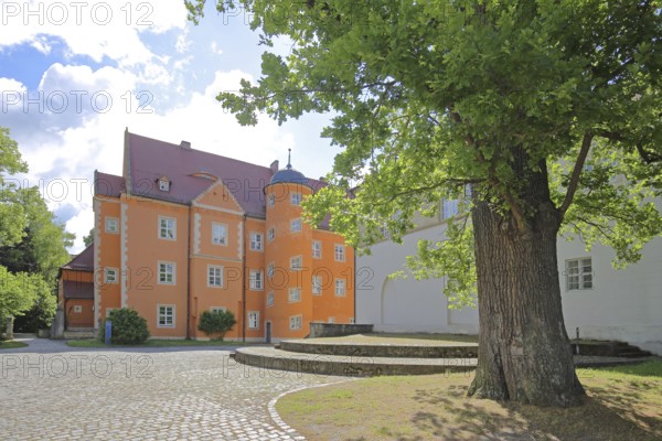 Prince's house backlit by the former Cistercian abbey, Schulpforte, Pforta State School, Bad Kösen, Saale, Naumburg, Saxony-Anhalt, Germany