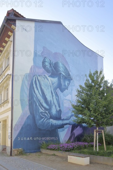 Mural Knowledge by Sokar Uno 2023, blue house wall, woman reading a book, learning, scrolling, street art, graffiti, double image, Weißenfels, Saxony-Anhalt, Germany