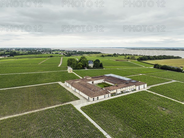 Chateau Latour Vineyard and grape fields around Pauillac from a drone, Bordeaux, Gironde, Nouvelle-Aquitaine, France