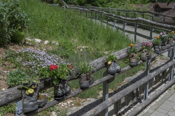Wooden railing with flowers in worn mountain boots, Bavaria, Germany