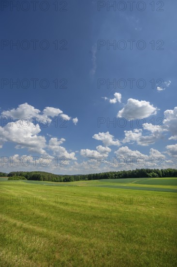 Franconian landscape with cloudy sky, Neunhof, Middle Franconia, Bavaria, Germany