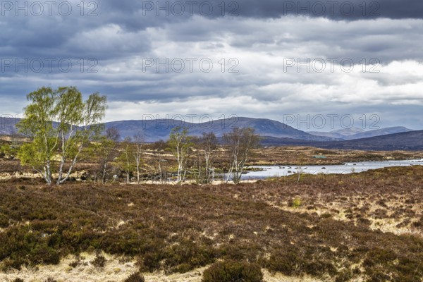 Rannoch Moor over Loch Ba and Loch of the Armpit, A82 Highland Way, Argyll and Bute, West Highlands, Scotland, United Kingdom