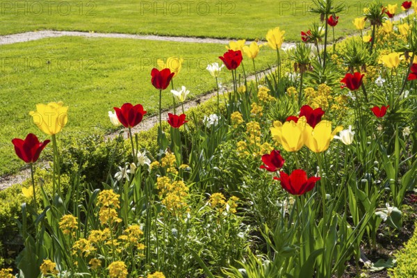 Flower bed with red and yellow tulips, castle park, Schloss Neuhaus, Paderborn, Westphalia, North Rhine-Westphalia, Germany