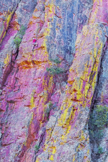 Man rock climbing, Coconino National Forest, Arizona, USA, North America