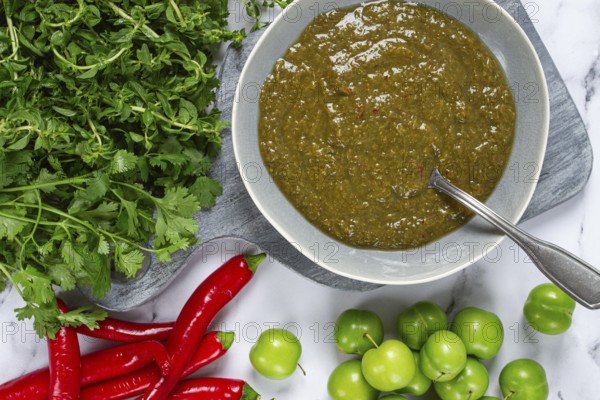 Tkemali sauce, made from green cherry plum, with ingredients on the table, top view, Georgian cuisine, no people