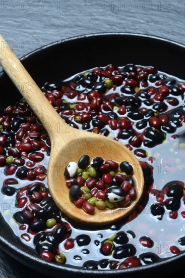 Dried beans placed in water to soak, wooden spoon