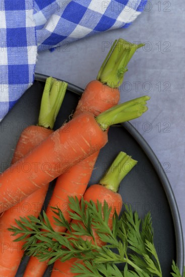 Carrots with leafy greens, Daucus carota
