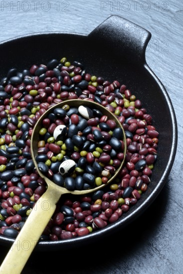 Various beans in ladle, dried beans