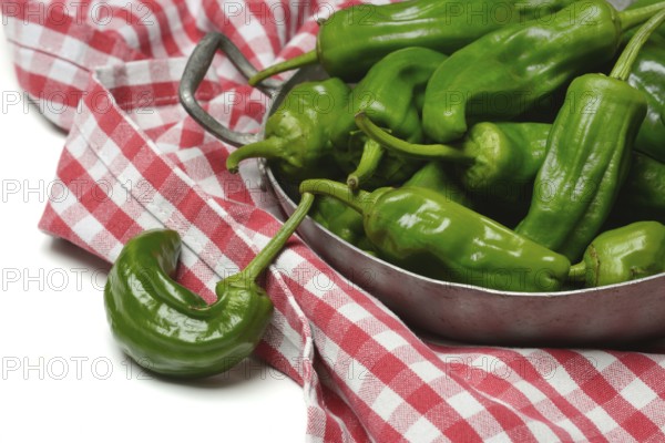 Padron chilli peppers in shell, Pimientos de Padron