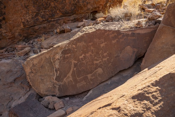 Depictions of animals on a rock slab, lion slab, rock carvings, rock engravings, Twyfelfontein, Kunene, Namibia
