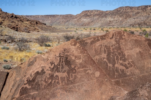 Depictions of animals on a rock slab, petroglyphs, rock engravings, Twyfelfontein, Kunene, Namibia