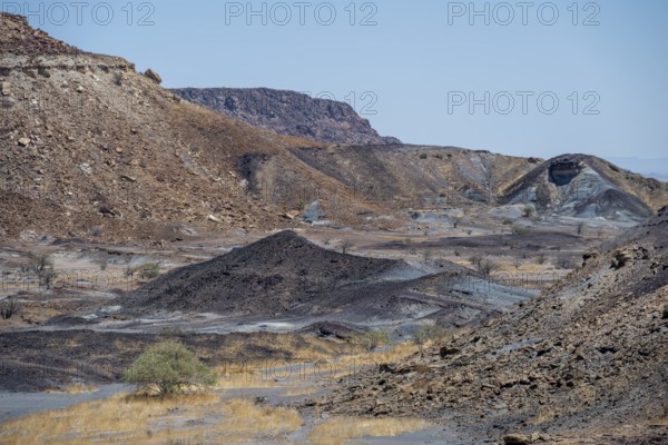 Dry landscape with yellow grass and black volcanic hills, Burnt Mountain, Damaraland, Kunene, Namibia