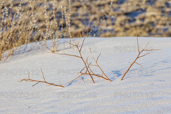 Gypsum dunefields at White Sands National Monument located within the Chihuahuan Desert and the Tularosa Basin near Alamorodo, New Mexico, USA