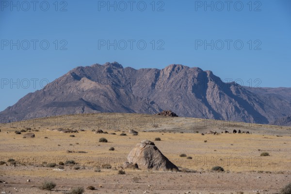 Dry landscape in front of the Brandberg, Damaraland, Namibia