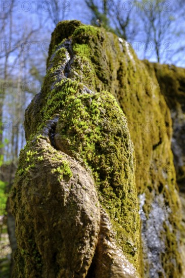 Growing rock, Steinerne Rinne in Usterling, Johannisfelsen natural monument, near Landau an der Isar, Lower Bavaria, Bavaria, Germany