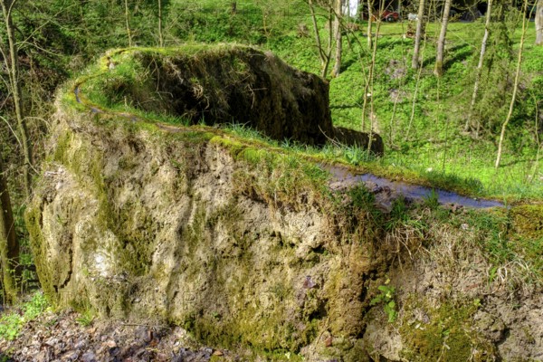 Growing rock, Steinerne Rinne in Usterling, Johannisfelsen natural monument, near Landau an der Isar, Lower Bavaria, Bavaria, Germany