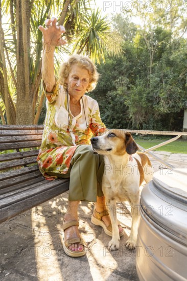 Elderly woman sitting on a wooden bench in a garden, enjoying the company of her loyal dog by her side, reaching out with her hand towards an unseen presence in the peaceful outdoors