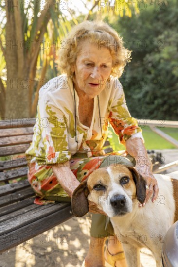 Elderly woman sitting on a park bench, gently petting her mixed breed dog while enjoying a tranquil moment outdoors, surrounded by sunlight filtering through the trees