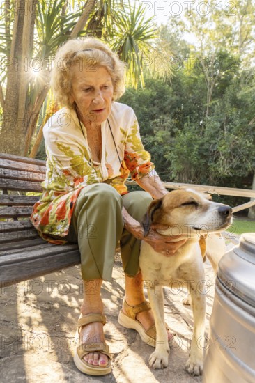 Senior woman enjoying a peaceful moment outdoors, sitting on a wooden bench in her backyard and affectionately petting her dog under the warm sunlight