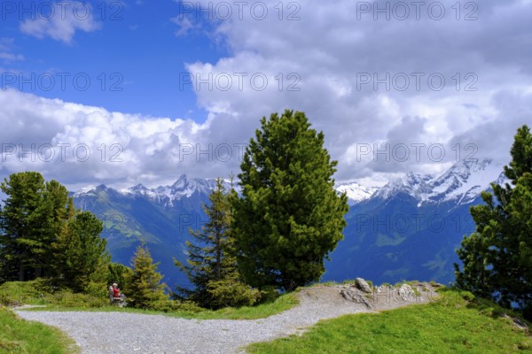 Panorama trail, Penken, Finkenberg, Mayrhofen, Zillertal, Tyrol, Austria