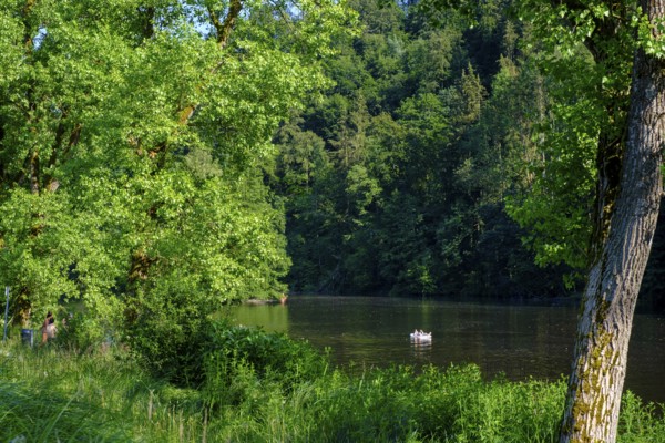 Hals reservoir, Hals an der Ilz, Ilzschleifen, near Passau, Lower Bavaria, Bavaria, Germany