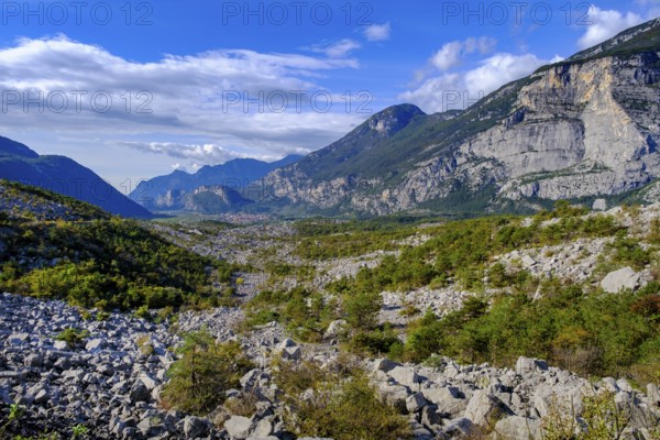 Rockfall area, Marocche di Dro biotope, near Dro, Sarca Valley, Trentino, Italy