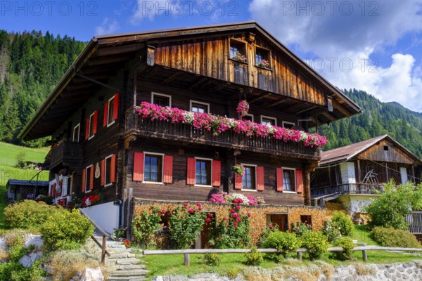 Old farmhouses in the hamlet of Kottern, Sappada, Plodn, Carnic Alps, Julian Friuli, Italy