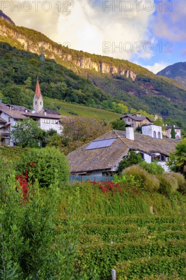 Tramin an der Weinstraße, with vineyards, Unteretsch, South Tyrol, Italy