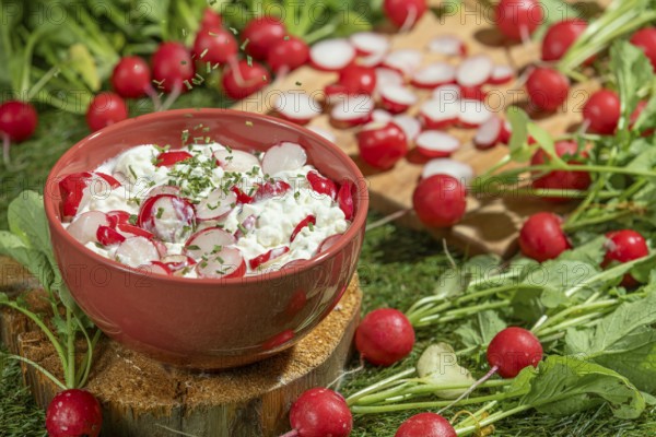 Bowl with cottage cheese, fresh radishes and herbs on a green meadow