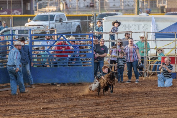 Young boy riding a sheep in a mutton busting event during the Hardin County Fair Rodeo in Savannah, Tennessee