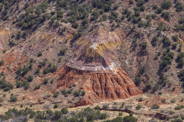 Layered rock formations at Palo Duro Canyon State Park near Amarillo, Texas