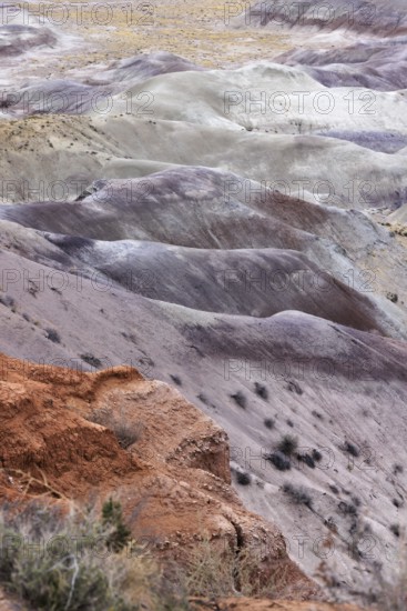 Colorful deposits of the Chinle Formation exposed at Little Painted Desert County Park near Winslow, Arizona