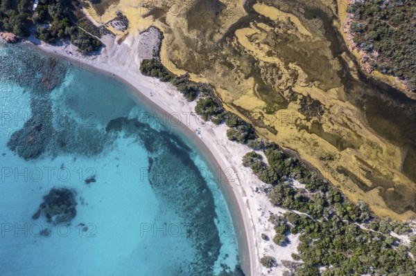 Aerial view, turquoise-coloured sea, sandy beach, Corsica, France