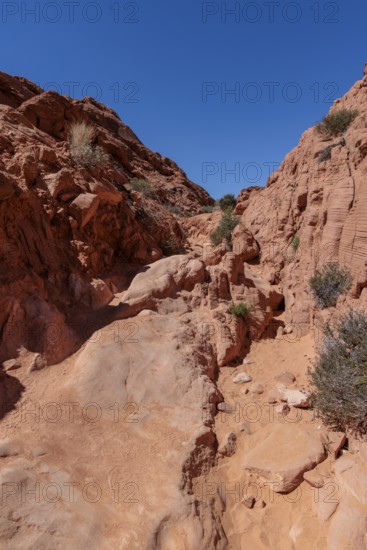 Rock formations along the Fire Canyon Overlook Trail at Valley of Fire State Park near Overton, Nevada