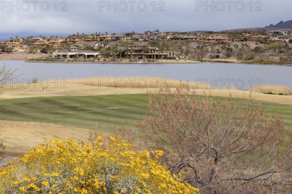 Colorful desert landscaping on a golf course along the shoreline of Las Vegas Wash at Lake Las Vegas in Henderson, Nevada, USA