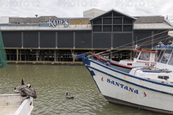 Commercial fishing boats docked next to Katie's Seafood House on the Galveston Channel in Glaveston, Texas