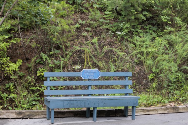 Wooden bench with sign for Designated Vaping Area at the Dollywood amusement park in Pigeon Forge, TN