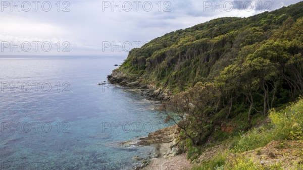 Coast, Cap Corse, Haute-Corse, Corsica, France