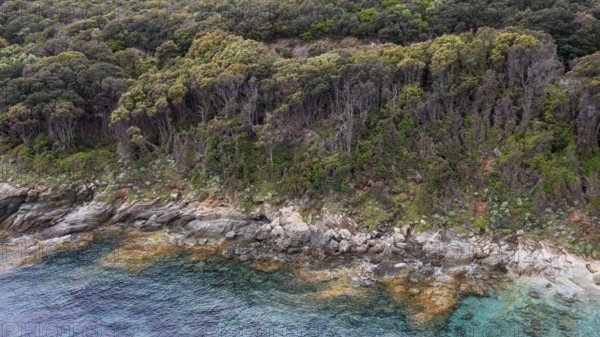Aerial view, rocky coast, Corsica, France