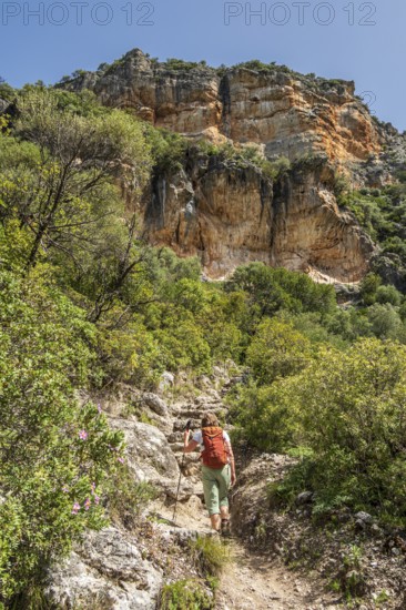 Woman hiking in the corlorful gorge La Garganta Verde, Sierra de Grazalema, Andalusia, Spain
